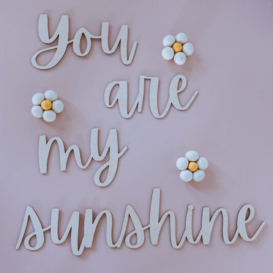 You are my sunshine hanging wall decal with felt daisys