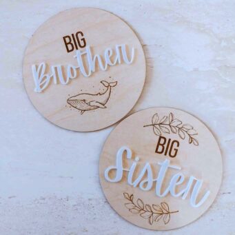 Big Brother and Big sister announcement plaques